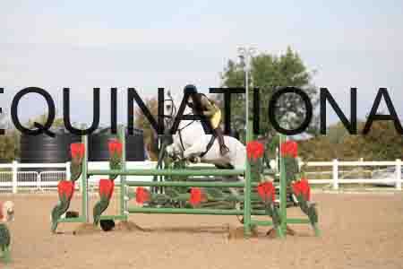 COZ-1226
