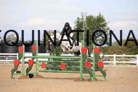 COZ-1291