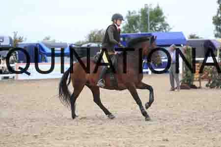 COZ-1608