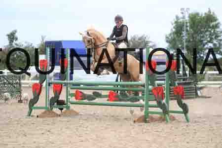 COZ-1633