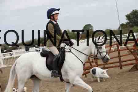 GJK-1041