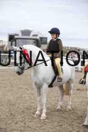 GJK-2203