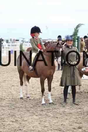 UIP-1155