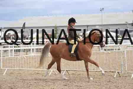 UIP-1692