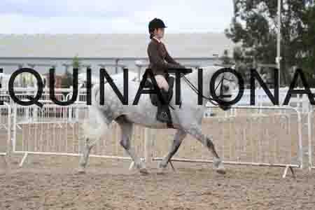 UIP-1770