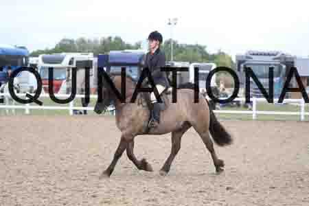 UIP-1911