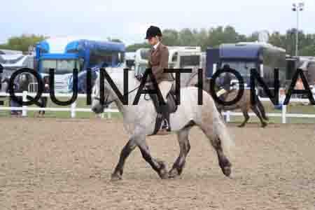 UIP-1929
