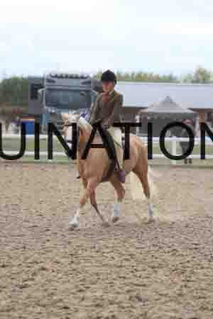 UIP-2004