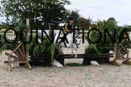 LZX-1397