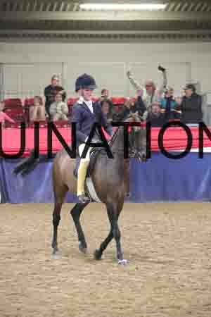 ONM-1909