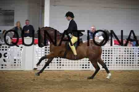 ONM-2013