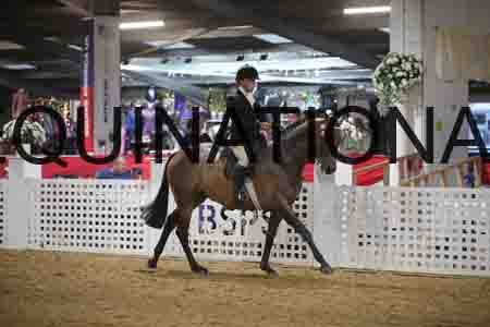 ONM-2140