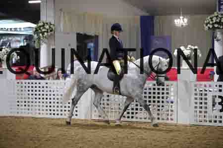 ONM-2545