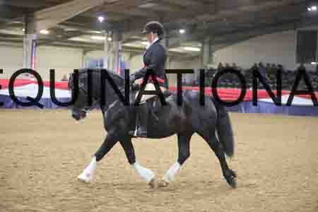 ONM-2573
