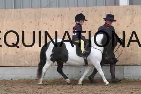 HHL-1152