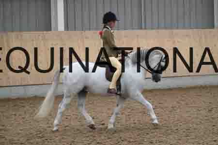 OAS-1532