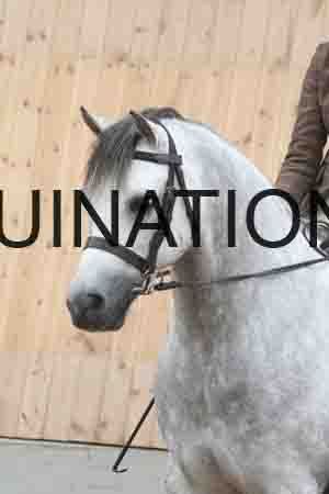 OAS-1655