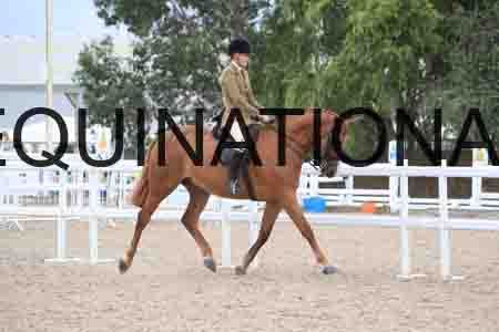 RTY-1845