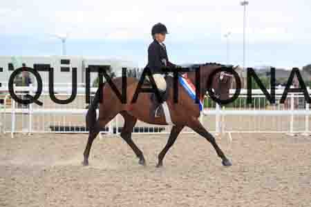 RTY-2030