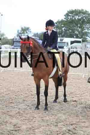 RTY-2116