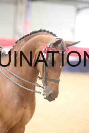 QWE-1252