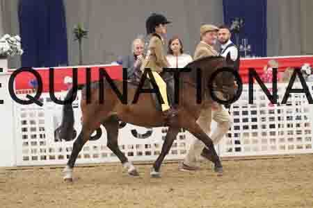 QWE-1505