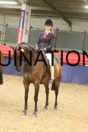 QWE-2013