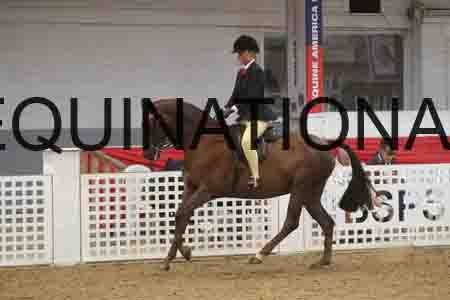 QWE-2143