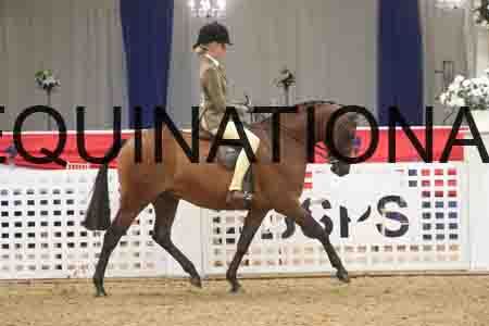 QWE-2479
