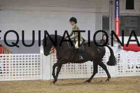 QWE-2659