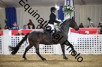 EUR-1306