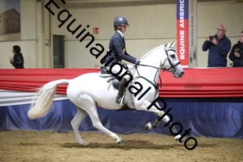 EUR-1660