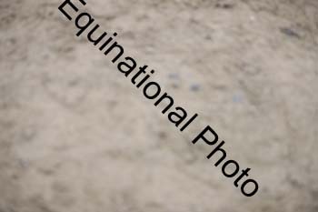 EUR-1750