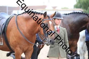 BYQ-1160