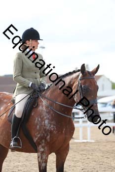 BYQ-1194