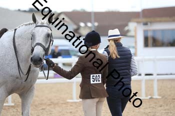 BYQ-1698