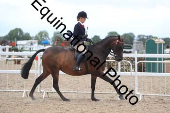 BYQ-2200