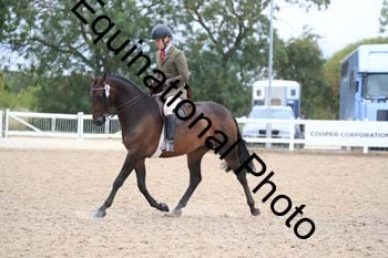 BYQ-2206