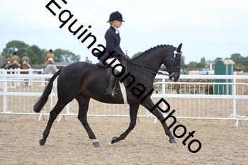 BYQ-2339
