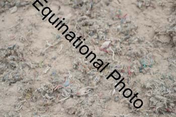 CWK-2169