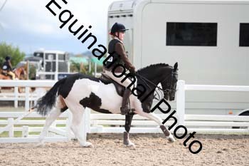 CWK-1001