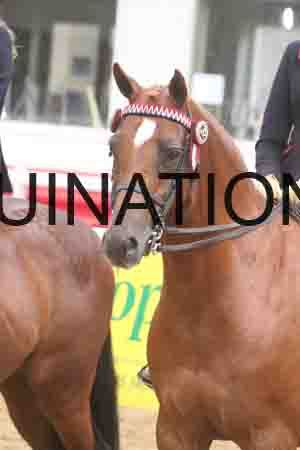 ATK-1319