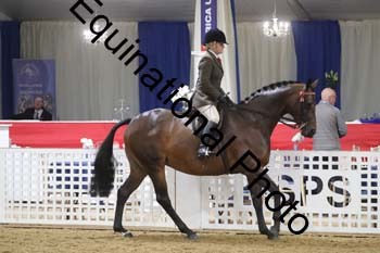 ATT-1031