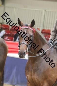 ATT-1205