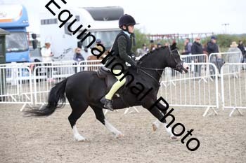 DZN-1996