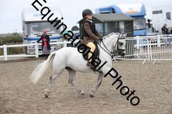 DZN-2006