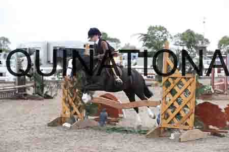 DZN-2204