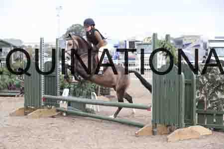DZN-2216