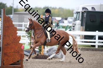 DZN-1026