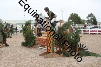 ZCW-1011